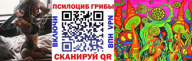 Галлюциногенные грибы Psilocybe  ОМГ ОМГ ТОР  Саянск 